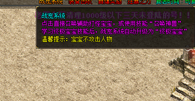 战宠系统.png